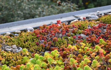 the cost of Chevington green roof installation