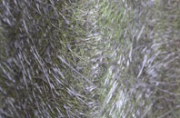 Chevington fibreglass roof work